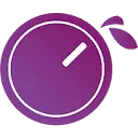Plum Audio